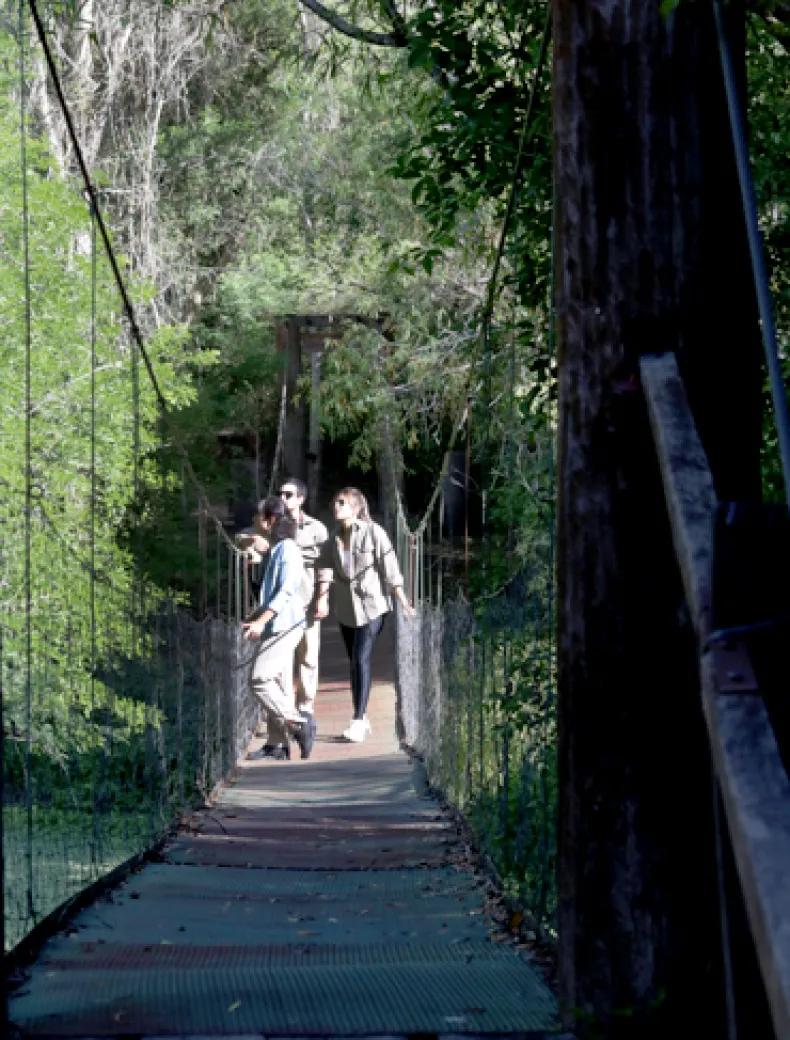 Turismo en el Bosque Chaqueño: Una Experiencia Inigualable - Cuándo ir al Impenetrable Chaqueño bosque chaqueño turismo - Cuándo ir al Impenetrable Chaqueño