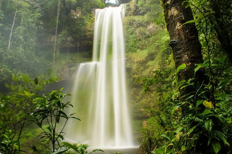 Mocoa, Putumayo: Una Guía Completa para el Turista - Cuándo son las fiestas de Mocoa Putumayo mocoa putumayo turismo - Cuándo son las fiestas de Mocoa Putumayo