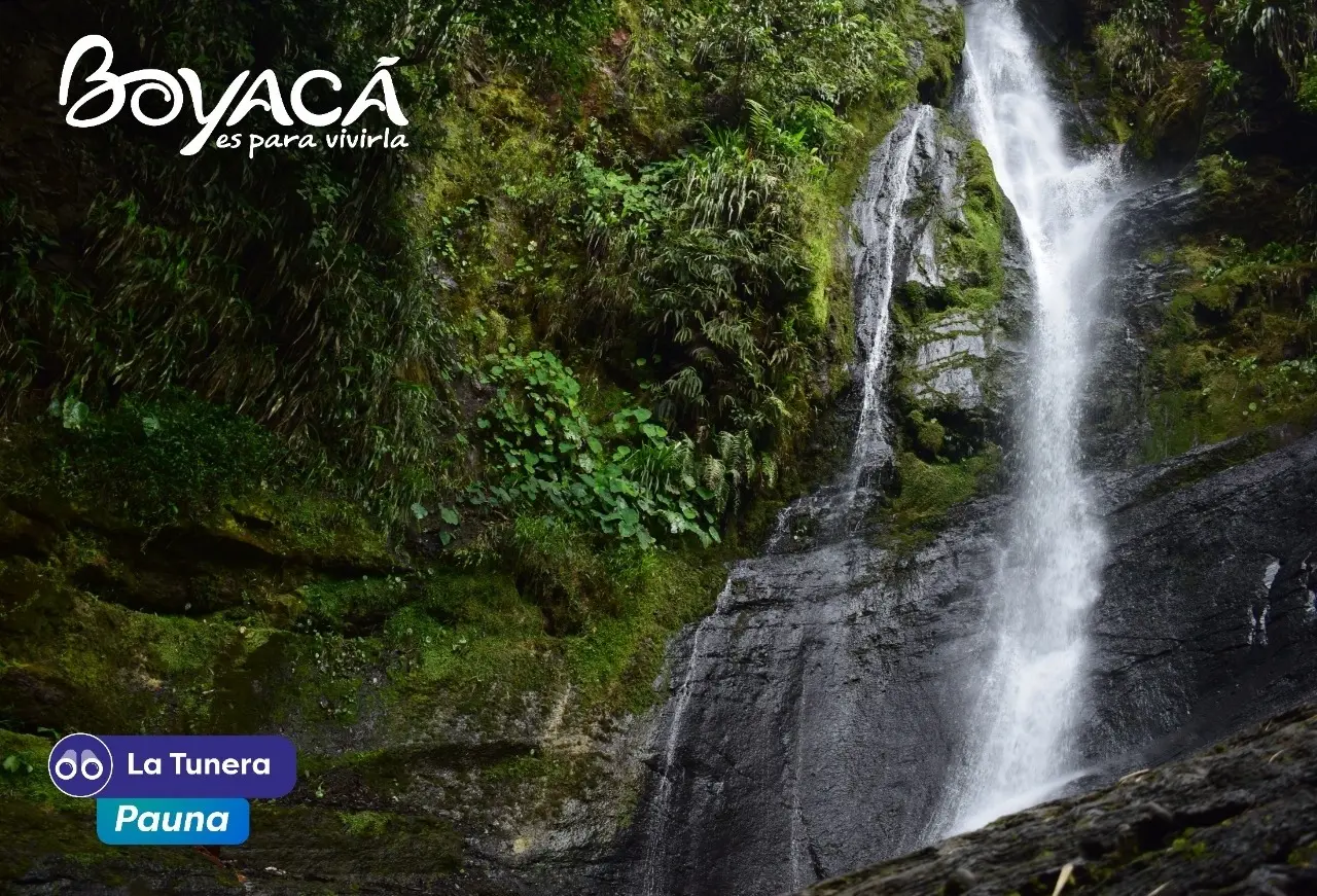 pauna boyacá turismo - Cuándo son las fiestas de Pauna Boyacá
