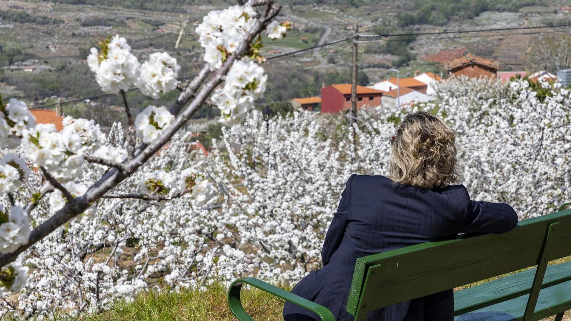 Valle del Jerte: La Guía Definitiva para Tu Visita - Cuándo ver el Valle del Jerte informacion y turismo valle del jerte - Cuándo ver el Valle del Jerte