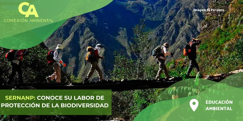 <b>Sernanp</b>: Turismo y Áreas Protegidas en Bolivia - Cuántas áreas protegidas hay en Bolivia en 2024 sernanp turismo áreas protegidas - Cuántas áreas protegidas hay en Bolivia en 2024