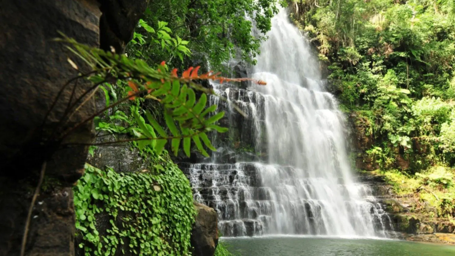 Departamento de Canindeyú: Turismo y Ciudades - Cuántas ciudades tiene el departamento de Canindeyú departamento de canindeyu turismo - Cuántas ciudades tiene el departamento de Canindeyú