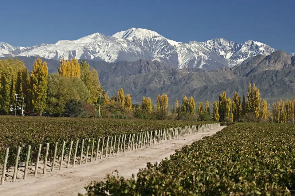 Turismo Vitivinícola en Mendoza: Una Experiencia Inolvidable - Cuántas zonas vitivinicolas hay en Mendoza turismo vitivinicola en mendoza - Cuántas zonas vitivinicolas hay en Mendoza