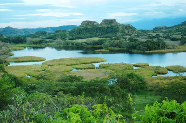 Turismo en Armero Guayabal: Un viaje a la memoria y la reconstrucción - Cuánto cuesta el pasaje de Bogotá a Armero Guayabal acj armero guayabal turismo - Cuánto cuesta el pasaje de Bogotá a Armero Guayabal