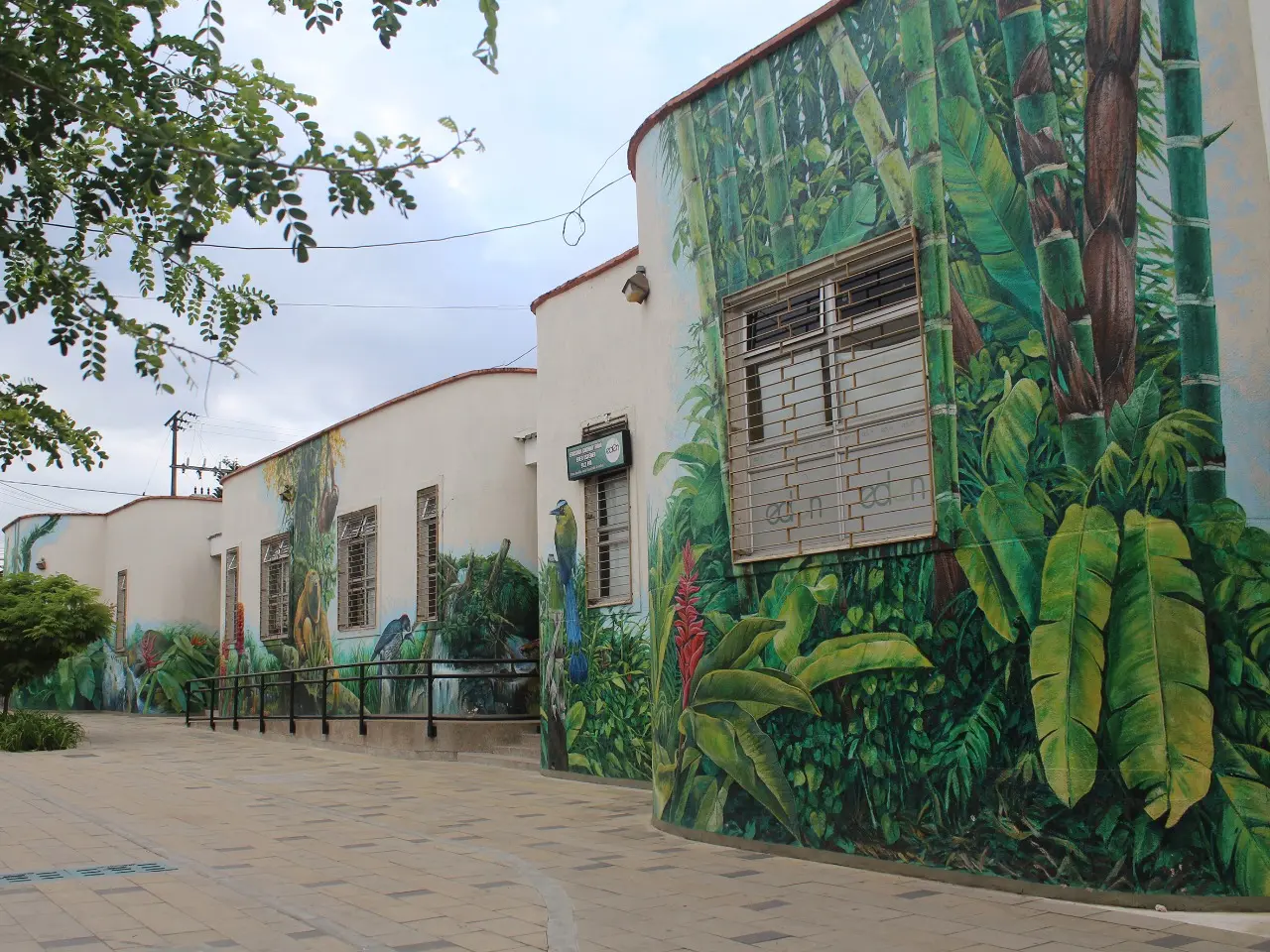 la tebaida turismo - Cuánto cuesta el pasaje de Cali a La Tebaida