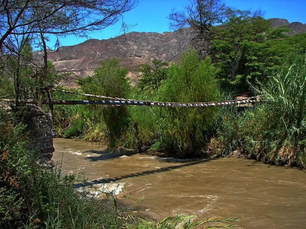 Turismo en Palpa: Una Guía Completa para tu Viaje - Cuánto cuesta el pasaje de Ica a Palpa palpa ica turismo - Cuánto cuesta el pasaje de Ica a Palpa