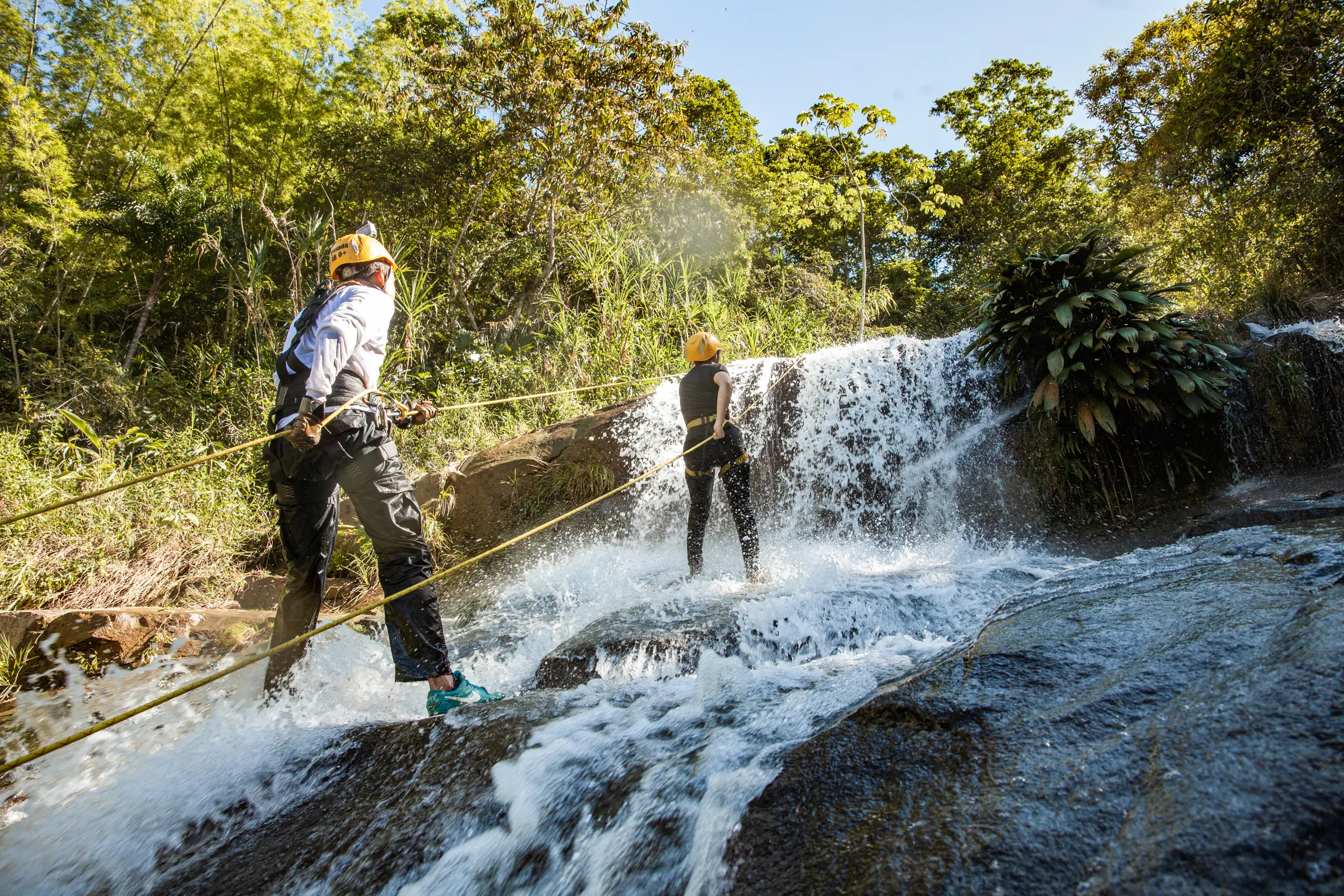 Turismo en Cisneros: Guía Completa de Precios, Actividades y Más - Cuánto cuesta el pasaje para ir a Cisneros cisneros turismo - Cuánto cuesta el pasaje para ir a Cisneros