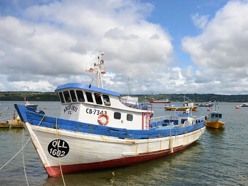 Transbordador a Chiloé: Guía completa para tu viaje - Cuánto cuesta el transbordador de Chacao chiloé turismo transbordador - Cuánto cuesta el transbordador de Chacao