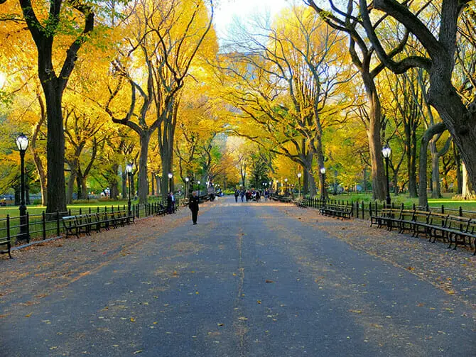 turismo de estados unidos central park - Cuánto cuesta entrar a Central Park