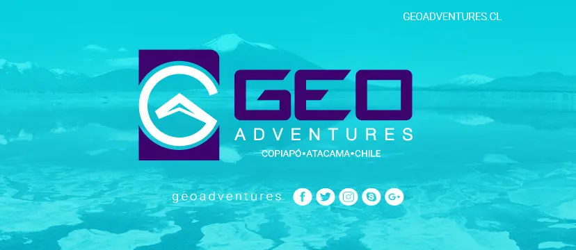 Desierto Florido de Chile: La Guía Definitiva para tu Visita en 2024 - Cuánto cuesta ir al desierto florido turismo desierto florido - Cuánto cuesta ir al desierto florido