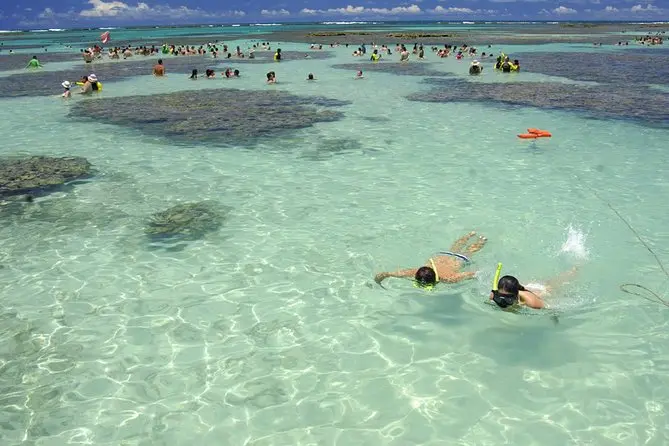 Turismo en Maragogi: La Guía Definitiva para tu Viaje - Cuánto cuesta ir de Maceió a Maragogi turismo maragogi - Cuánto cuesta ir de Maceió a Maragogi
