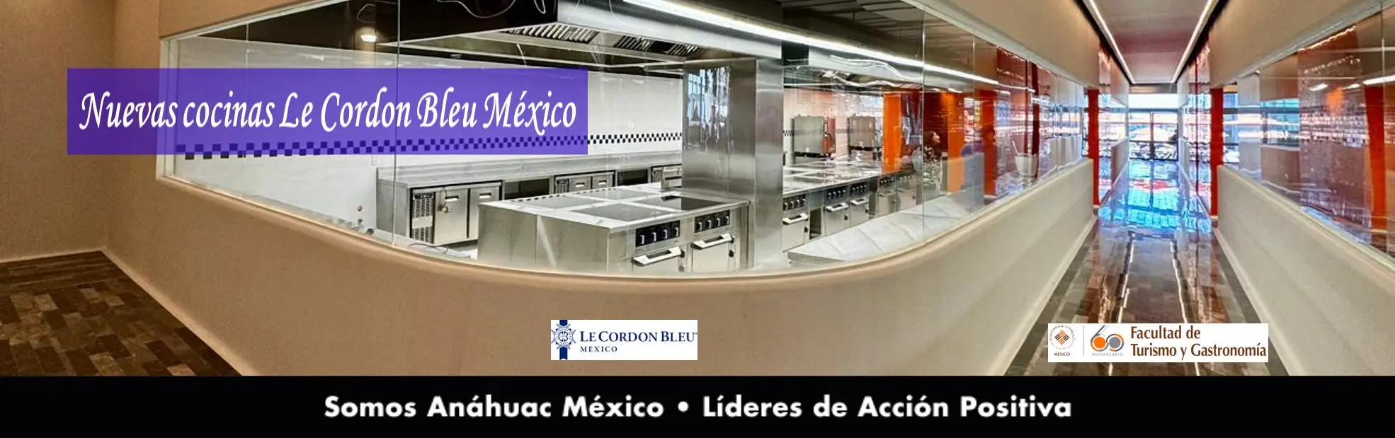 Costo de la Carrera de Gastronomía en la Universidad Anáhuac - Cuánto cuesta la carrera de gastronomía en la Anahuac facultad de turismo y gastronomia anahuac - Cuánto cuesta la carrera de gastronomía en la Anahuac
