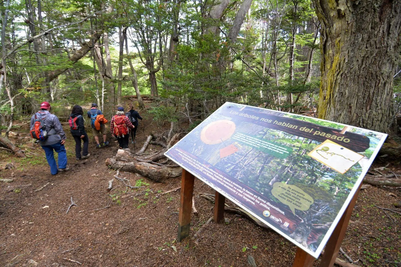 parque nacional tierra del fuego turismo - Cuánto cuesta la entrada al Parque Nacional Tierra de Fuego