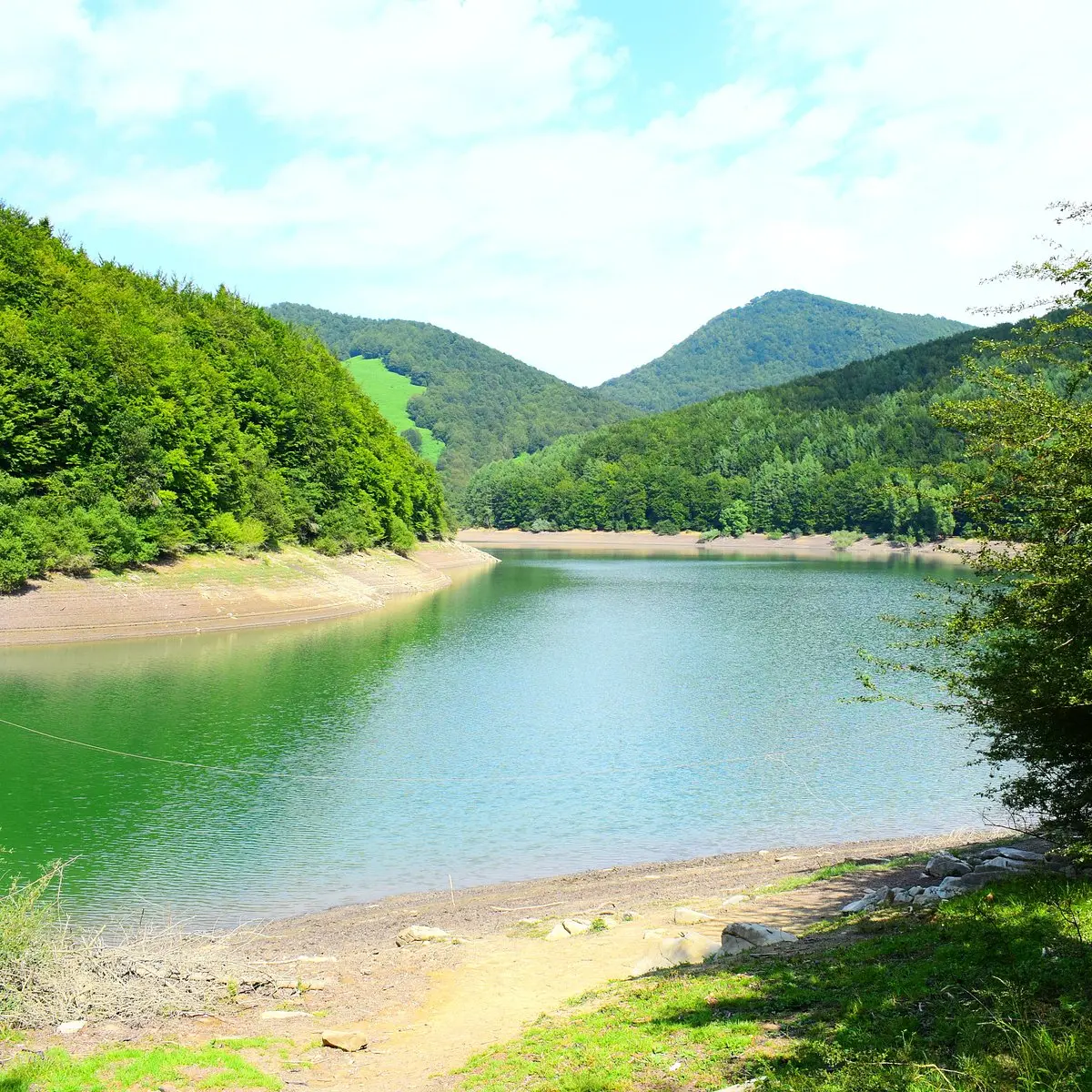 Selva de Irati: Guía Completa para tu Visita - Cuánto cuesta la Selva de Irati punto informacion de turismo selva de irati - Cuánto cuesta la Selva de Irati