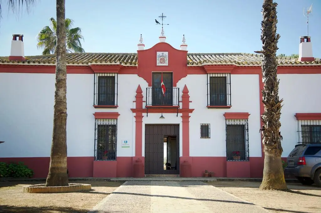 Hacienda Santa Teresa: Turismo, Ron y Legado Histórico en Venezuela - Cuánto cuesta un Ron Santa Teresa Bodegas Privadas hacienda santa teresa turismo - Cuánto cuesta un Ron Santa Teresa Bodegas Privadas