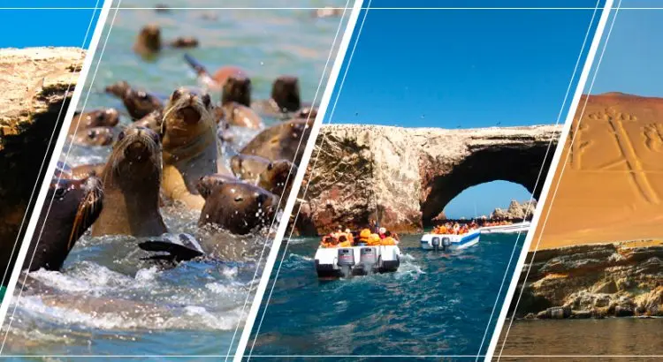 Agencia de Turismo Paracas Tours: La Guía Definitiva - Cuánto dura el tour de Paracas agencia de turismo paracas tours - Cuánto dura el tour de Paracas