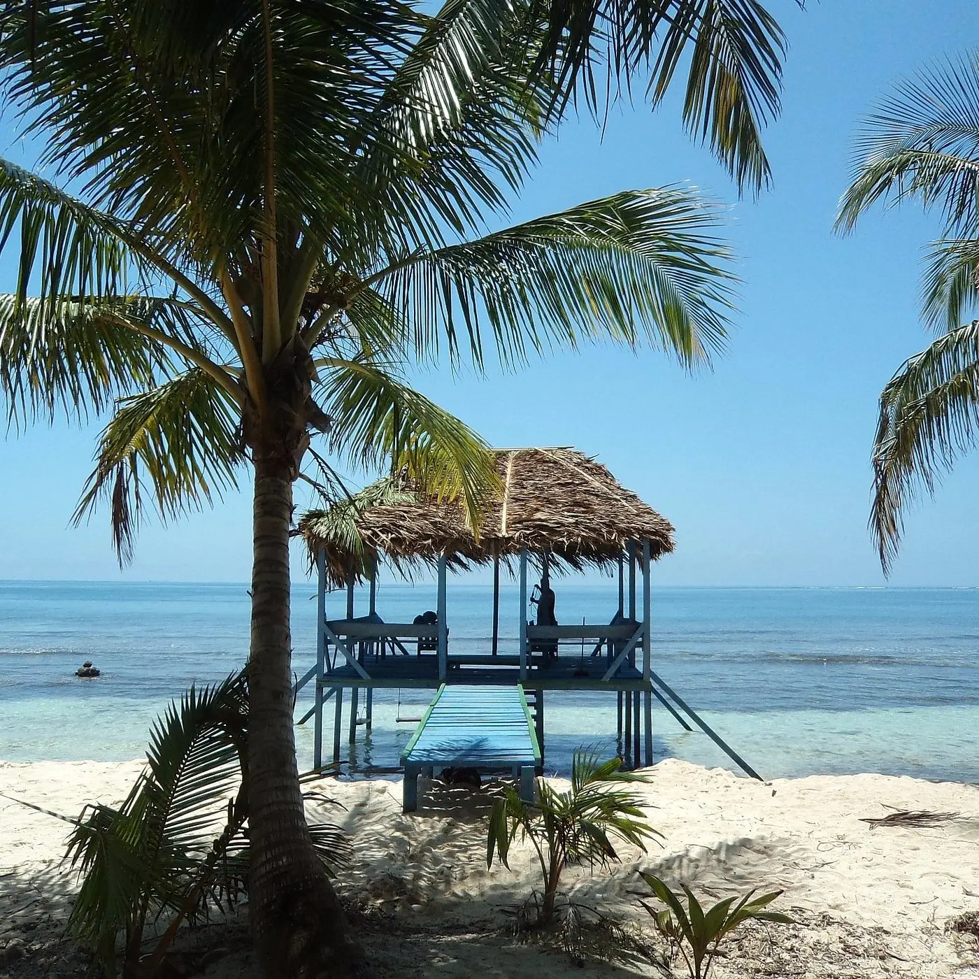 Bluefields: Turismo en el Corazón del Caribe Nicaragüense - Cuánto dura un vuelo de Managua a Bluefields bluefields turismo - Cuánto dura un vuelo de Managua a Bluefields
