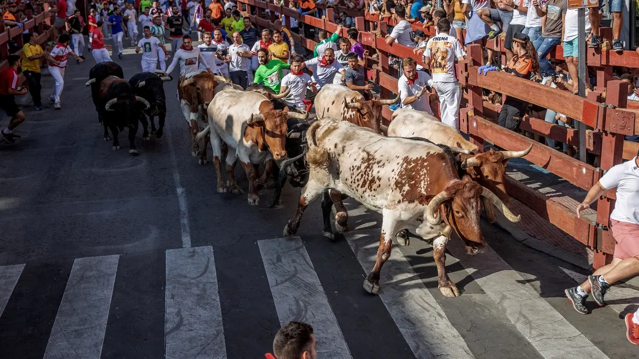 Turismo en San Sebastián de los Reyes: Guía Completa para tu Escapada - Cuánto duran las fiestas de San Sebastián de los Reyes san sebastian de los reyes turismo - Cuánto duran las fiestas de San Sebastián de los Reyes