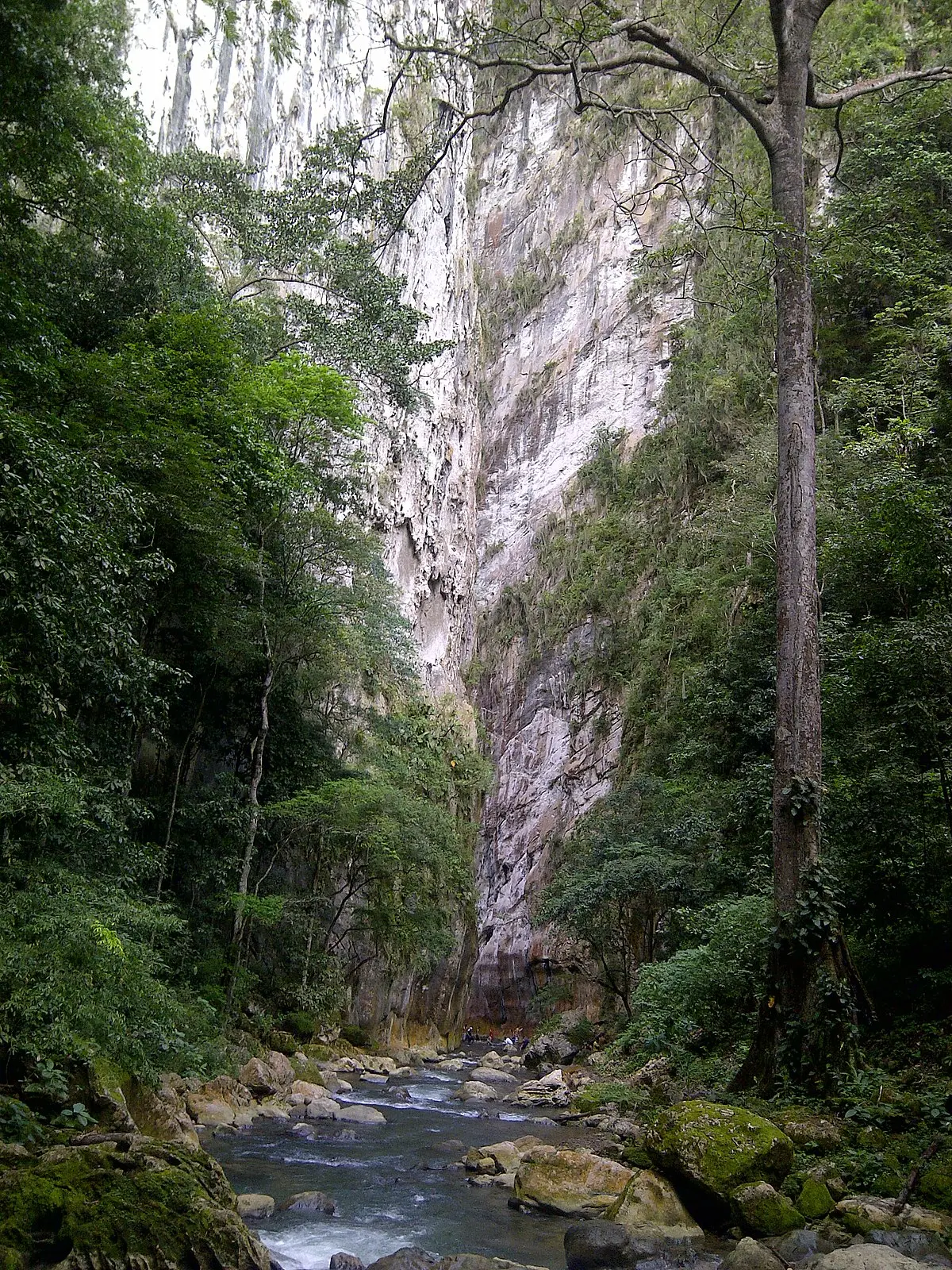 Turismo en las Puertas de Miraflores: Una Aventura en la Naturaleza Venezolana - Cuánto miden las puertas de Miraflores como es el turismo en las puertas de miraflores - Cuánto miden las puertas de Miraflores