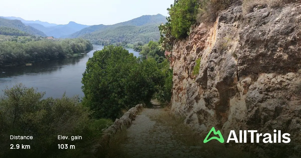 Oficina de Turismo de Miravet: Guía Completa para tu Visita - Cuánto se tarda en ver Miravet oficina de turismo de miravet - Cuánto se tarda en ver Miravet