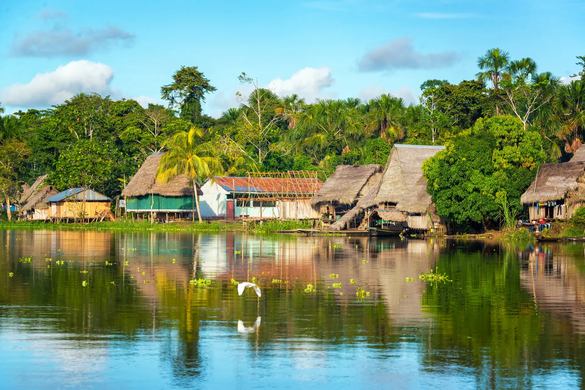 Amazonas Turismo Colombia Precios: Guía Completa para tu Aventura - Cuánto vale el impuesto para entrar al Amazonas amazonas turismo colombia precios - Cuánto vale el impuesto para entrar al Amazonas