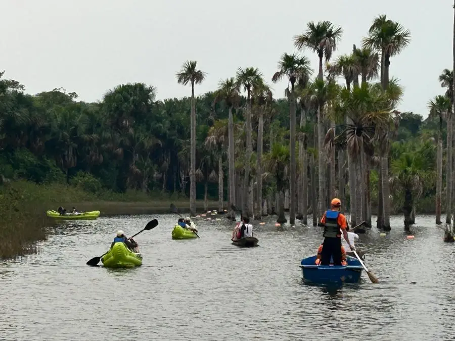 Turismo en Puerto Lleras, Meta: Una Guía Completa - Cuánto vale el pasaje a Puerto Lleras Meta turismo en puerto lleras meta - Cuánto vale el pasaje a Puerto Lleras Meta