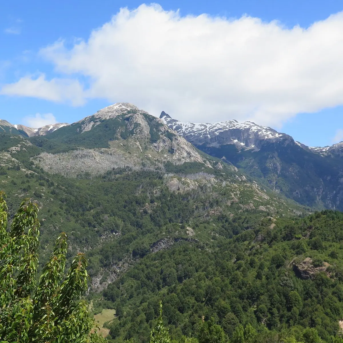 Turismo en Nahuelbuta: Una Guía Completa para tu Visita - Cuánto vale la entrada a la Piedra del Águila turismo nahuelbuta - Cuánto vale la entrada a la Piedra del Águila