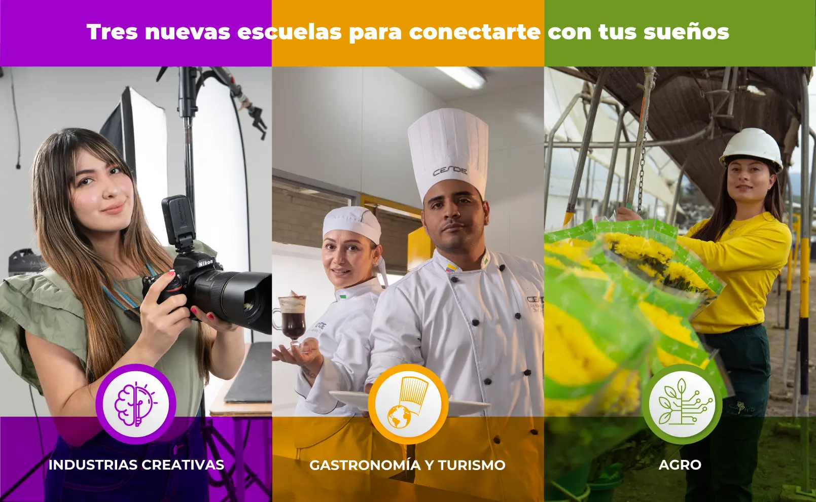Cuánto vale un semestre en el CESDE Medellín para Hotelería y Turismo? - Cuánto vale un semestre en el CESDE hoteleria y turismo cesde - Cuánto vale un semestre en el CESDE