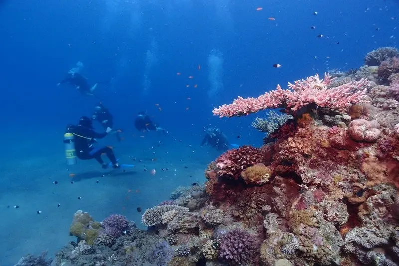 hurghada turismo - Cuántos días hay que estar en Hurghada