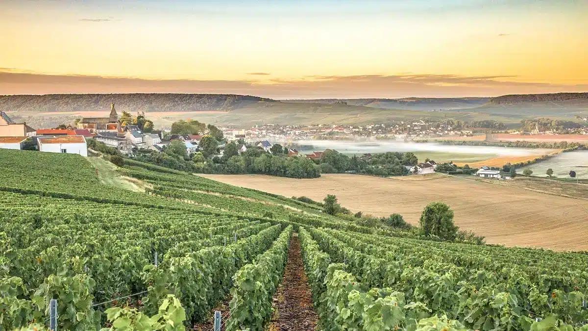 Champagne, Francia: Guía Completa de Turismo y Degustación - Cuántos días necesitas en Champagne, Francia champagne francia turismo - Cuántos días necesitas en Champagne, Francia