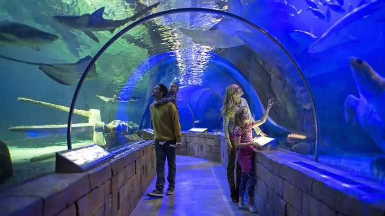 imagen turismo minesota - Cuántos estados tiene Minnesota