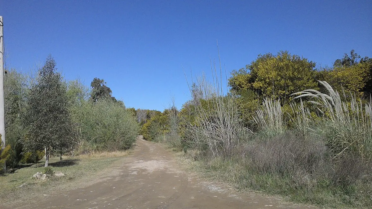 Turismo en Coronel Dorrego: Una Guía Completa - Cuántos habitantes tiene Coronel Dorrego coronel dorrego turismo - Cuántos habitantes tiene Coronel Dorrego