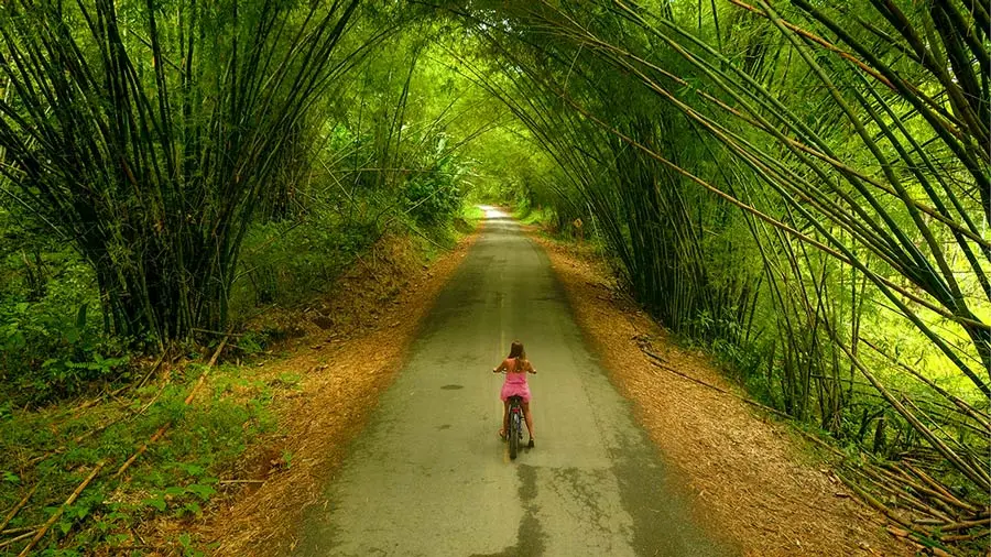 Changuinola: Turismo en el Corazón de Bocas del Toro - Cuántos habitantes tiene el distrito de Changuinola changuinola turismo - Cuántos habitantes tiene el distrito de Changuinola