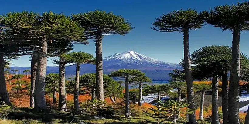 melipeuco turismo - Cuántos habitantes tiene Melipeuco