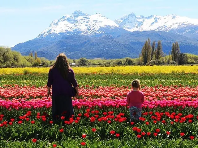 Turismo Esquel: Excursiones en la Trochita - Cuántos kilómetros recorre la trochita en esquel turismo esquel excursiones - Cuántos kilómetros recorre la trochita en esquel