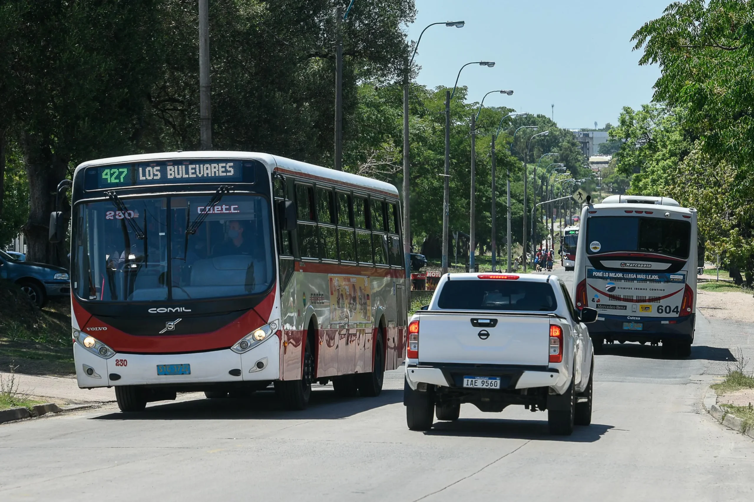 Omnibus Turismo Cutcsa: Horarios y Preguntas Frecuentes - Cuántos omnibus puedo tomar con boleto de una hora omnibus turismo cutcsa horarios - Cuántos omnibus puedo tomar con boleto de una hora