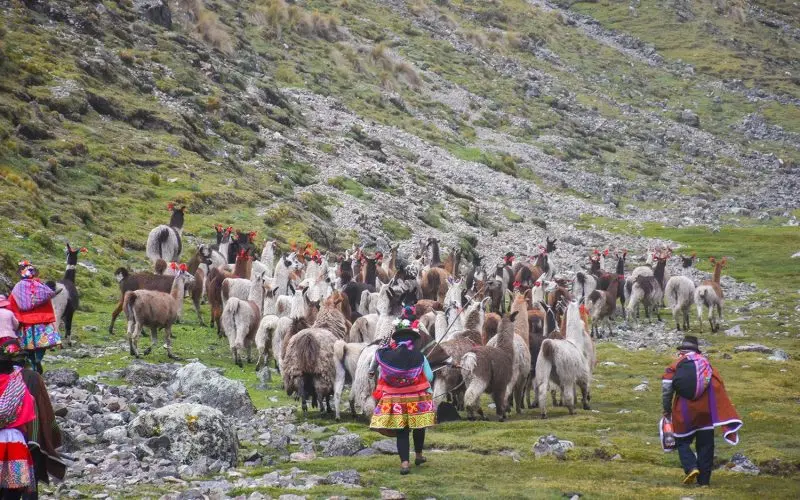 Turismo Vivencial en Ayacucho: Una Experiencia Inolvidable - Cuántos turistas van a Ayacucho turismo vivencial en ayacucho - Cuántos turistas van a Ayacucho