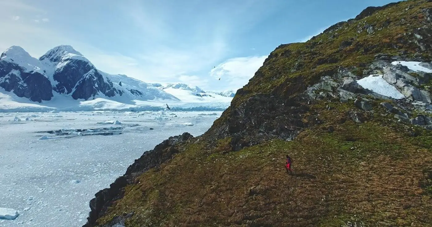 Imágenes de Turismo en Antártida: Un Collage Blanco y Negro de la Maravilla Helada - De qué color es la Antártida imagenes de turismo en antartidad en collage blanco y negro - De qué color es la Antártida