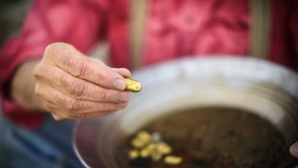 turismo de obtencion de oro - Dónde encontrar oro en Estados Unidos