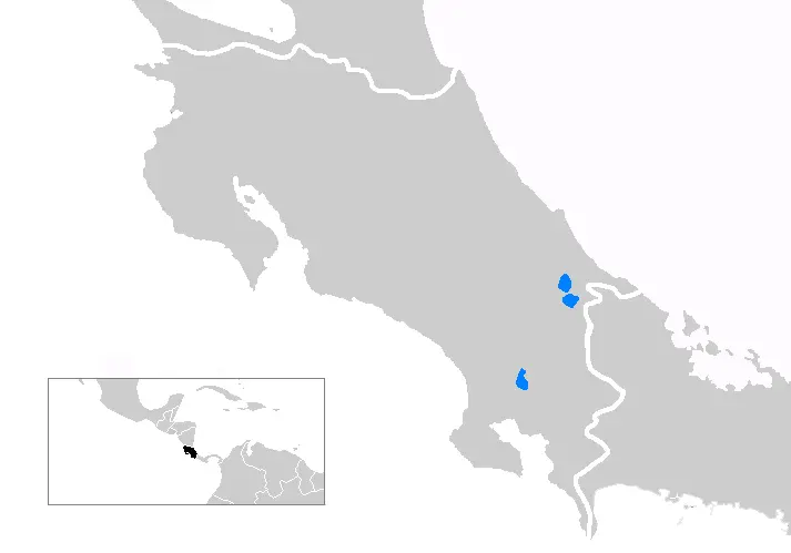 Turismo Bribri en Panamá: Una Experiencia Cultural Inmersiva - Dónde está ubicada la tribu Bribri bribri panama turismo - Dónde está ubicada la tribu Bribri
