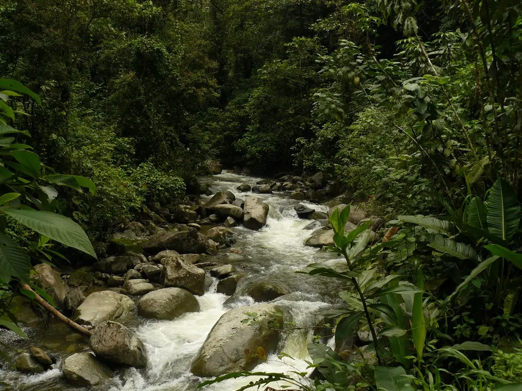 Anchicayá: Turismo Sostenible en un Paraíso Natural - Dónde está ubicado Anchicayá anchicaya turismo - Dónde está ubicado Anchicayá