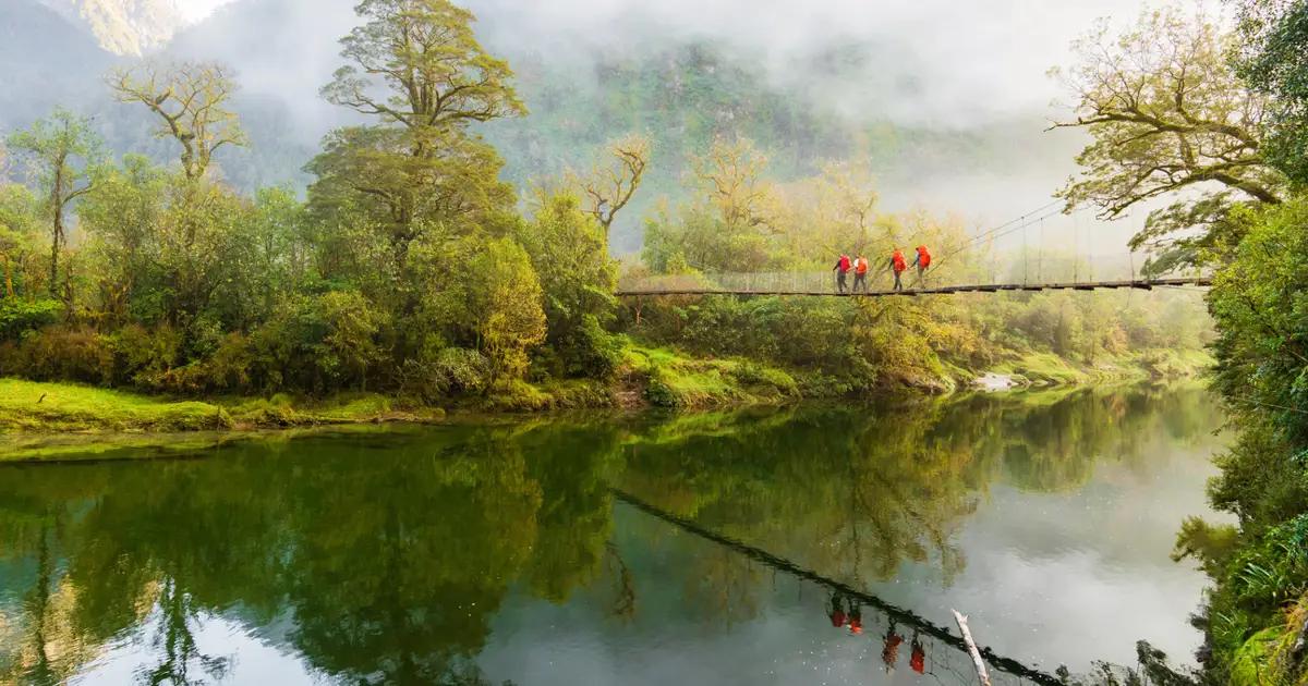 Los Bosques Más Bellos del Mundo: Una Guía para el Turismo Ecológico - Dónde están los mejores bosques turismo bosques - Dónde están los mejores bosques