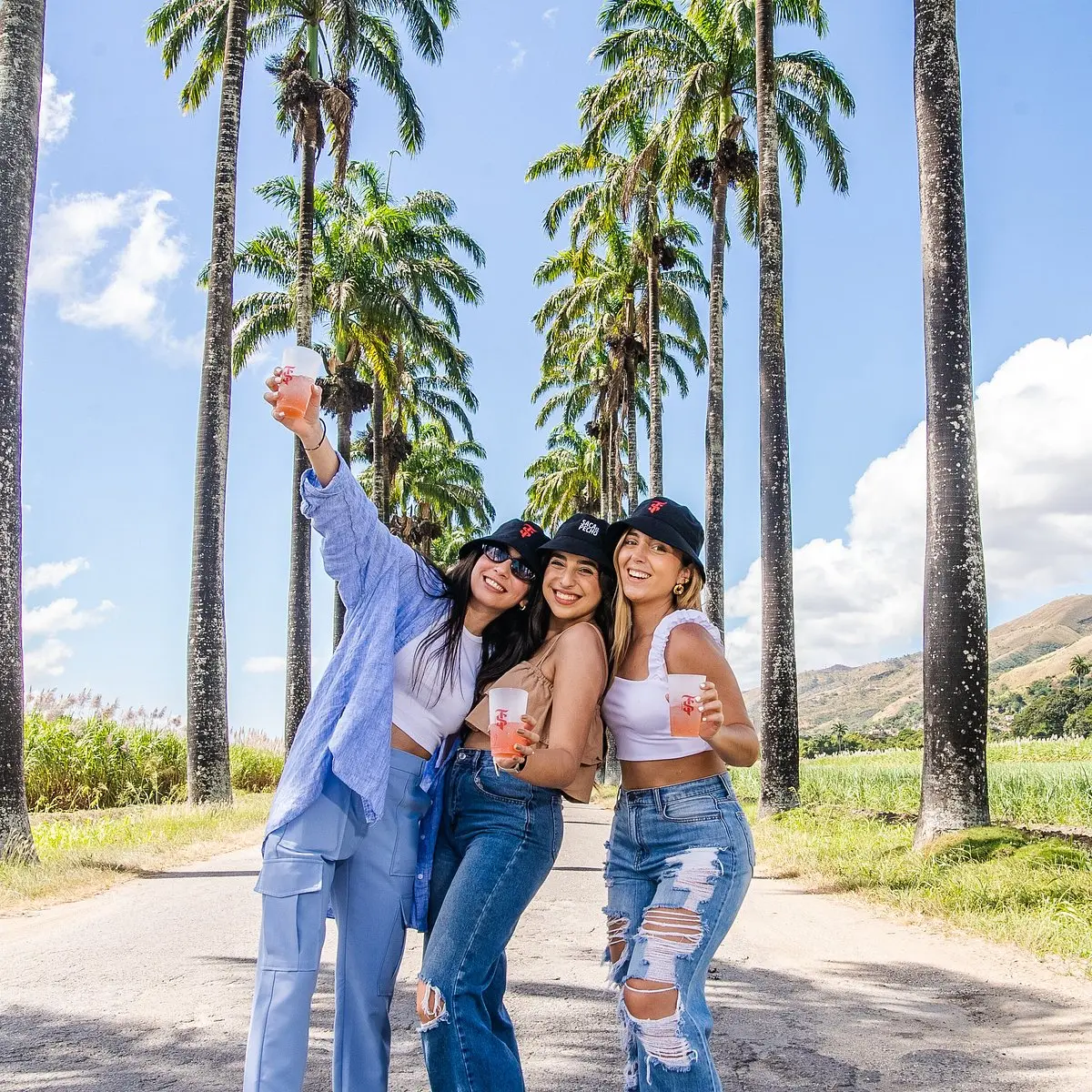 Hacienda Santa Teresa: Turismo, Ron y Legado Histórico en Venezuela - Dónde fabrican el ron Santa Teresa hacienda santa teresa turismo - Dónde fabrican el ron Santa Teresa