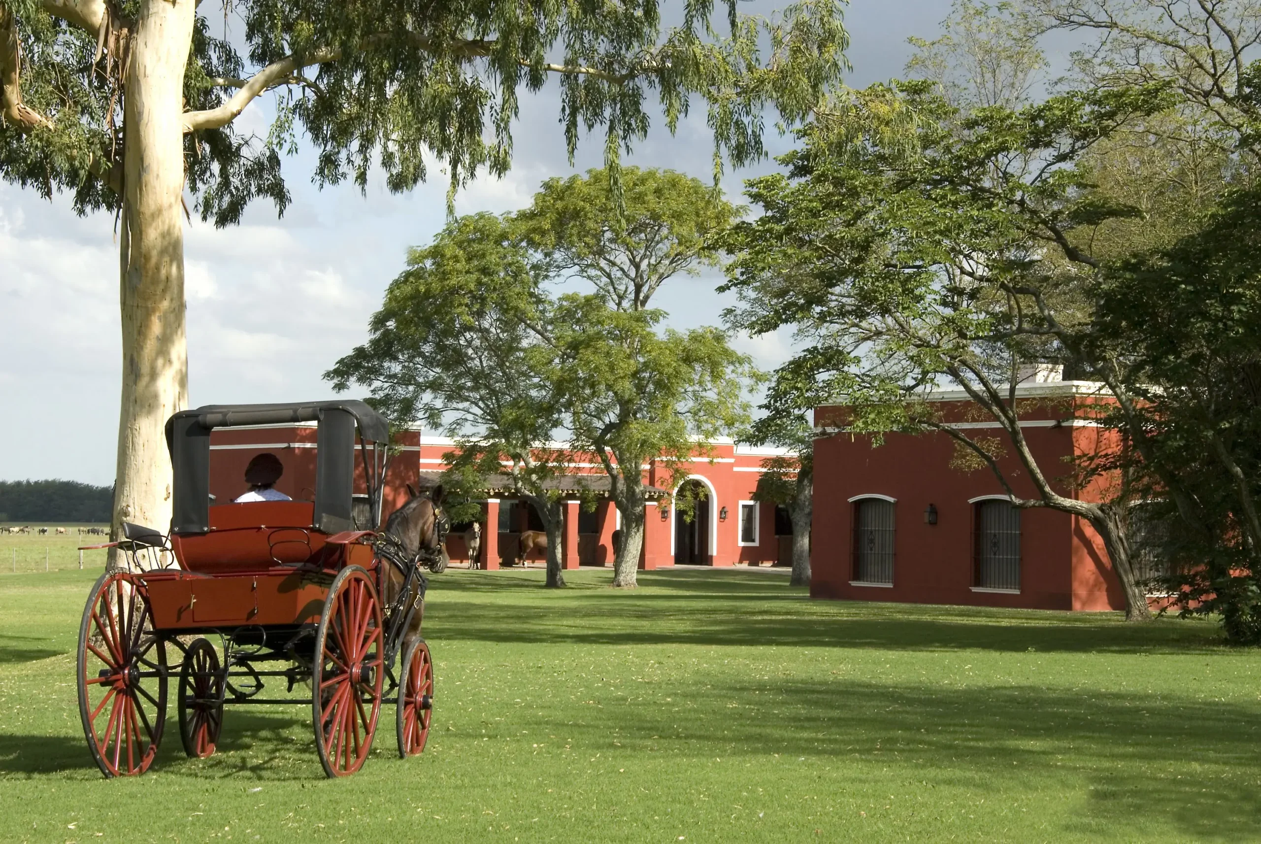 Turismo de Campo en Buenos Aires: Una Guía Completa - Dónde hay campos en Argentina turismo de campo en buenos aires - Dónde hay campos en Argentina
