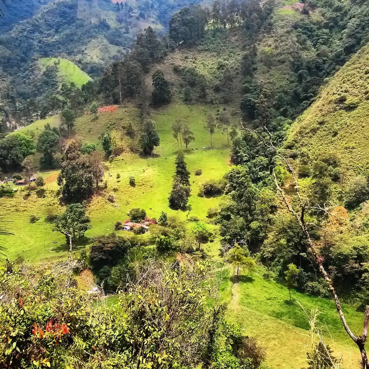 Valle de San Juan Tolima: Turismo en un Paraíso Natural - Dónde pasear en el Tolima valle de san juan tolima turismo - Dónde pasear en el Tolima