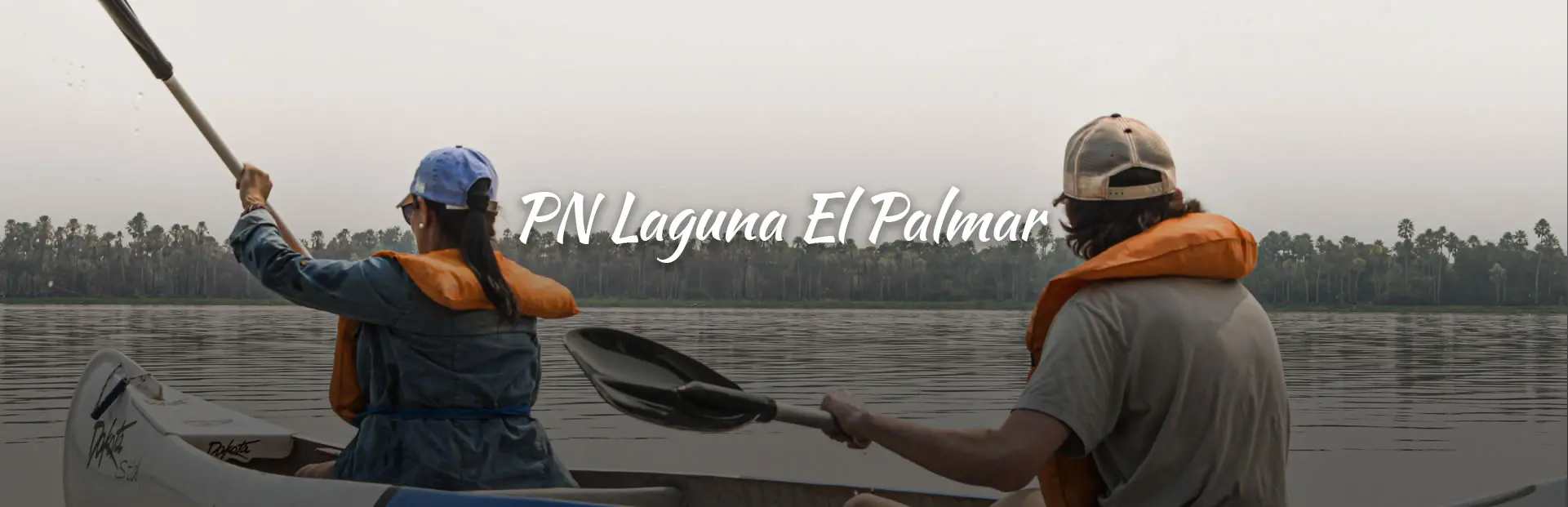 Turismo de pesca en el Chaco: Una guía completa - Dónde pescar trucha en San Martín de los Andes turismo en el chaco para pescar - Dónde pescar trucha en San Martín de los Andes
