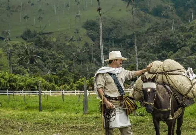 colombia cafetales turismo - Dónde queda la ruta del café en Colombia