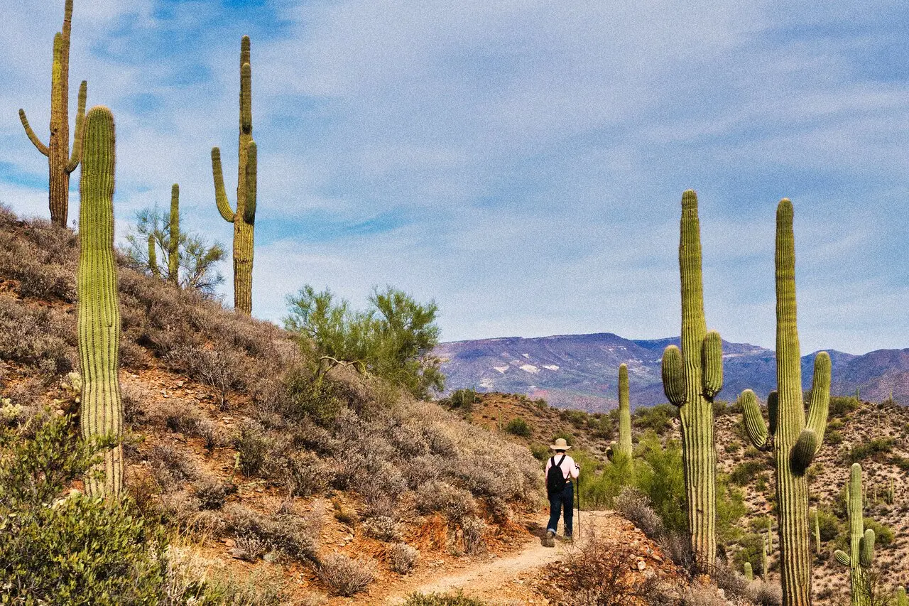 <b>Phoenix, Arizona: La Guía Definitiva para Turistas</b> - Dónde salir en Phoenix, Arizona phoenix arizona turismo - Dónde salir en Phoenix, Arizona