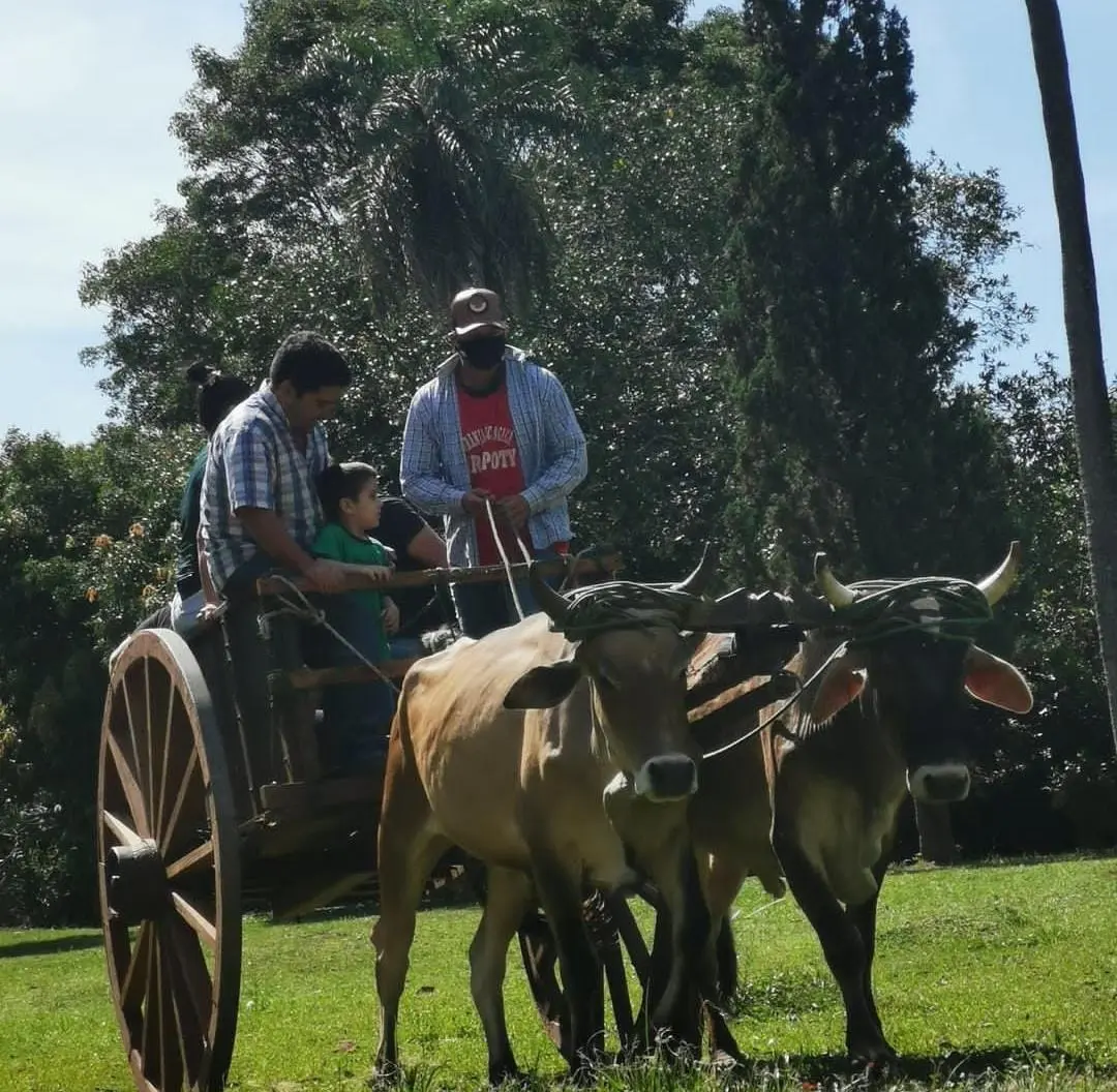 Turismo de agronegocios en Paraguay: Una Experiencia Inmersiva en el Corazón de la Producción - Dónde se concentra la actividad agrícola en Paraguay turismo agronegócio en paragua - Dónde se concentra la actividad agrícola en Paraguay