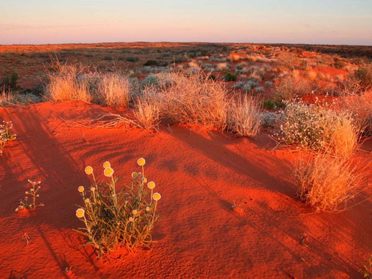 Desierto de Simpson: Turismo en el corazón de Australia - Dónde se encuentra el desierto de Simpson desierto de simpson turismo - Dónde se encuentra el desierto de Simpson